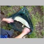 Majdalena 25.6.2008 -31.JPG